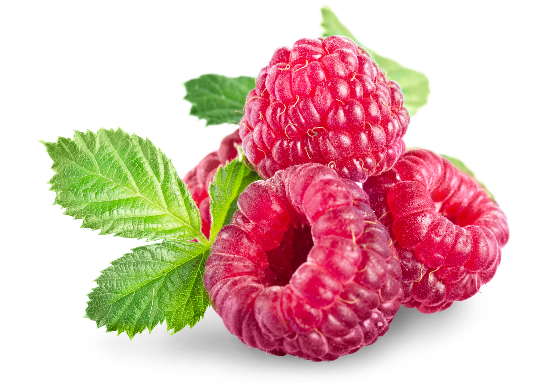 raspberry